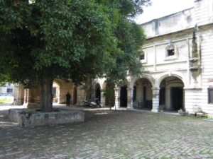old-tree-kapurthala-house-jullundur